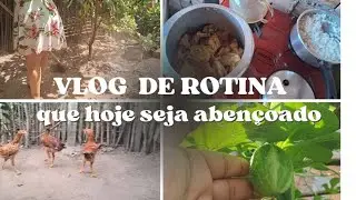 Mais um dia da minha rotina varrendo o espaço das galinha. 
