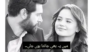 Best Urdu Shayari collection | Pakistani status 💕| Heart Broken 💔 Pakistani Shayari #Poetry