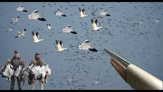 Louisiana Snow Geese Hunt (Conservation BEAT DOWN)