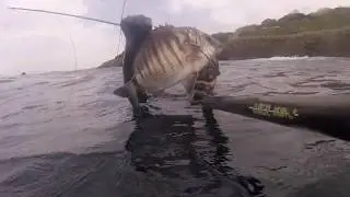 Muxarra Higerreko lurmuturrean