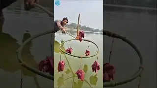 Unbelievable technique chicken liver trap fishing system #fishing #video #reels #trap #viral #shorts