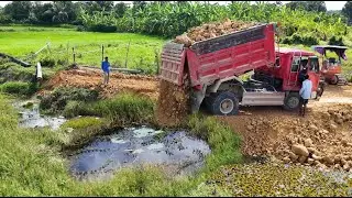 Wonderful Project!Road Continue Deep Huge Lake, Dump Truck 5Ton Filling land Bulldozer Pushing Soil