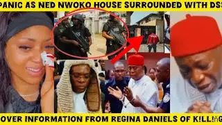 Ned Nwoko‼️didn't saw this coming to destroy him OMG after everything it ended in tears 