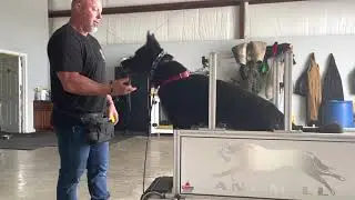 adding negative reinforcement to the forced fetch