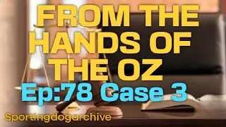 BDC EP:78 Case 3: From The Hands Of Oz #sportingdogs #apbthistory #apbtfanciers #apbt #gamedogs 