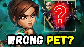 What is the Best Pet for Lara Croft in Hero Wars?