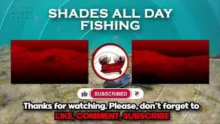 Shades All Day End screen