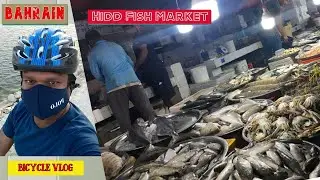 Hidd Fish Market | Bicycle Ride | Bahrain | Santhosh Edakulam