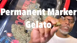 Goodbud Cannabis Reviews Episode 30 : Permanent Marker Gelato From Cam