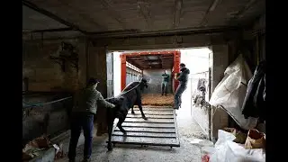 🔥🔥AZPEITIKO SOKAMUTURRA🔥🔥 Lopene Ganadutegia (20/01/2024)