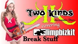 Limp Bizkit - break stuff (acoustic cover) by two kinds nj music (2021) #37