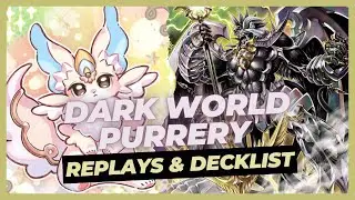 Dark World Purrely | Replays & Decklist