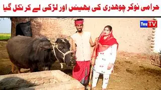 Noor Nazeer Bhains Or Larki Ly Kr Nikal New Funny Video | Most Comedy Funny Video | You Tv Hd 2026