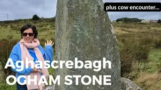 Ogham Stone Aghascrebagh | Ancient Ireland | Standing Stones