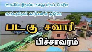 பிச்சாவரம் படகு சவாரி PICHAVARAM,Mangrove Forest, Boat Riding Experience Tamil.