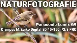 📸 Naturfotografie - Olympus M.Zuiko 40-150mm f/2.8 an der Lumix G9 - Abbildungsleistung satt!