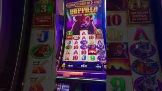 Buffalo Mega Power abri&oacute; 2 babarriles #slot #jackpotofthemonth #casino #slotscasinogames #jackpot