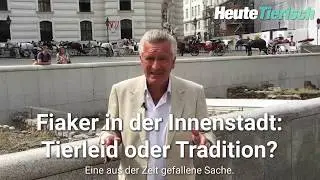 Fiaker in der Wiener City &ndash; Tierleid oder Tradition?