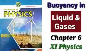 Buoyancy in Liquid and Gases (XI Physics)