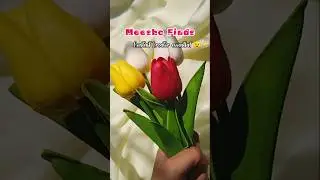 MEESHO FINDS 💗CONTENT CREATOR MUST HAVE! #meeshofinds #meeshohaul #contentcreator