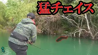 止めるか、加速させるか。正解はコレだ！【究極の２択】