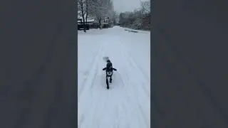 Dog I can run well through the snow in my boots