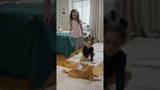 Cute kids playing with cute cat
