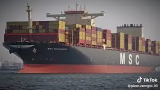 T&agrave;u chở container msc cargo ship 