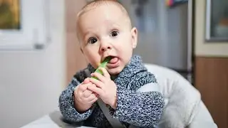 Starting Solids: A Guide for Introducing Solid Foods to Your 6-Month-Old Baby