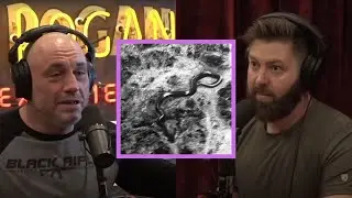 Joe & Forrest On Giant 50ft Congo Snake Mystery