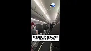 Pilots thought someone was trying to break into cockpit
