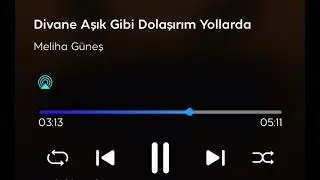 THM - Divane Aşık Gibi Dolaşırım Yollarda (Meliha Güneş)
