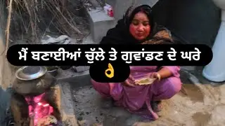 ਮੈਂ ਬਣਾਈ ਆ ਅੱਜ ਸਾਗ ਗਵਾਂਢਨ ਦੇ ਘਰੇ ☘️🌿🍀🥰🥰😂😂👌👌👌👍👍👍