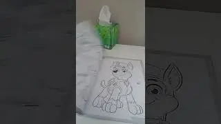 paw patrol  Nickelodeon  Toggo