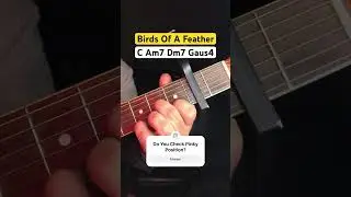Birds Of A Feather Guitar 🎸 Chords #guitar #guitartutorial #birds