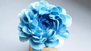 Instructions for catching flowers.hướng dẫn bắt hoa