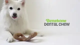 Benebone Dental Chew  Toy for Dogs