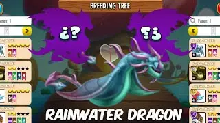 New How To Breed Rainwater Dragon || Dragon City