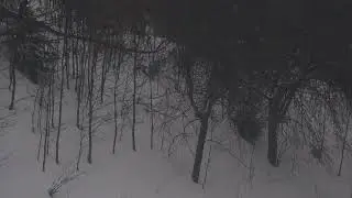 Carpathian railway