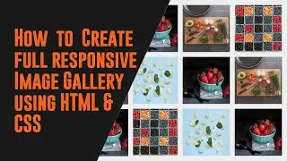 How to Create a Responsive Image Gallery using HTML & CSS