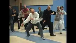 Taiji Quan a Roma - Stile Chen: Esercizi di Base - M°George Xu