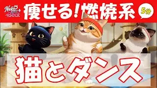 【初公開】猫たちの「秘密のジム」で5分痩せる！脂肪燃焼ダンス🔥 キャットタワー部屋で有酸素運動 5 Min Fat Burn Cat Dance