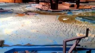 The Bay Model