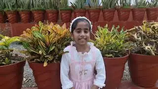 World Environment Day 2025