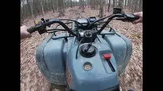 suzuki quad runner 500