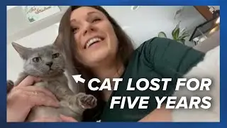 After five years, a woman&rsquo;s missing cat was found and returned home 🐱
