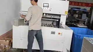 Automatic Waste Paper Blanking Separator Stripping Machine for Medicine Cigarette Box