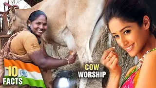 10 Most Amazing Facts About India | Compilation