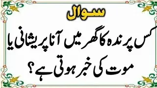 Top Islamic QuestionsAnswers - Islamic Puzzles-Islamic Sawal Jawab-UrduQuiz Islamic Quiz | Gk
