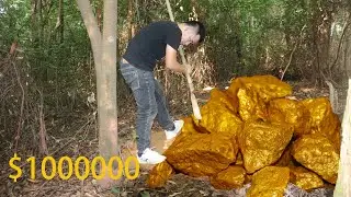 Treasure / Treasure Hunting / Exploration Gold Mining / Use of Professional Gold Mining Tools